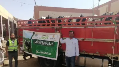 الأورمان تنحر 2000 عجل بلدي وتوزع مليون كيلو لحوم في أيام التشريق