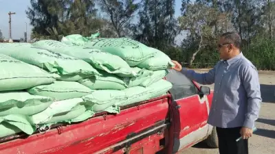 الدقهلية تورد 205 آلاف طن قمح محلي لمواقع التخزين والصوامع