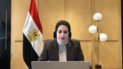 اعتماد تمويل 23 مشروعًا مصريًا في التحول الأخضر من برنامج الاتحاد الأوروبي