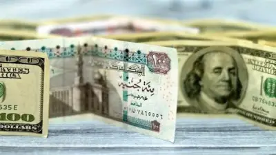 استقرار سعر الدولار أمام الجنيه في البنوك المصرية اليوم الأحد 24 مايو 2026