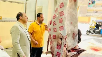 الطب البيطري بالدقهلية يستعد لعيد الأضحى بـ 24 مجزرًا جاهزًا