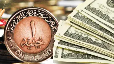 سعر الدولار اليوم في البنوك المصرية الأحد 24-5-2026.. استقرار وترقب