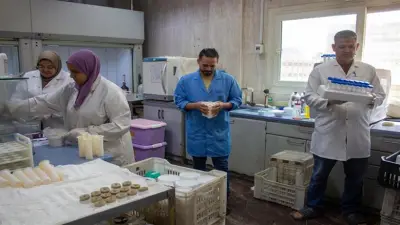 الزراعة: فحص 2500 عينة أغذية وحاصلات زراعية خلال أيام عيد الأضحى