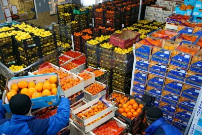 265 ألف طن صادرات غذائية.. السعودية أكبر الأسواق المستقبلية