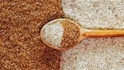 تحديث أسعار الأرز الشعير والأبيض اليوم الأربعاء 27 مايو 2026 في الأسواق