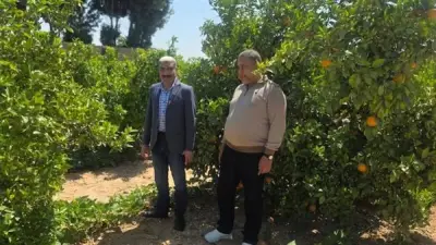 الزراعة: إزالة 27 حالة تعدي وأنشطة إرشادية لدعم المزارعين