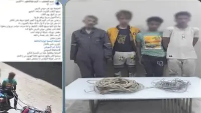 ضبط 3 عاطلين سرقوا أسلاك كهرباء أمام مسجد بالسويس باستخدام كارو