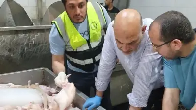 ضبط 3 أطنان دواجن فاسدة في حملة تموينية بالقليوبية