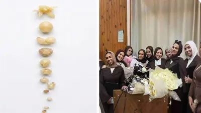 طالبات بجامعة الزقازيق ينتجن 3 أصناف بطاطس خالية من الفيروسات
