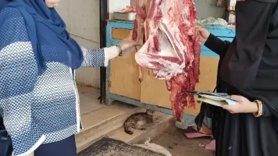 ضبط 39 كجم لحوم مذبوحة خارج السلخانة في جزارة بالخارجة