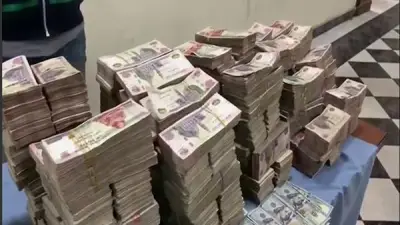 ضبط 390 مليون جنيه من غسل أموال المخدرات والسلاح في أسبوع
