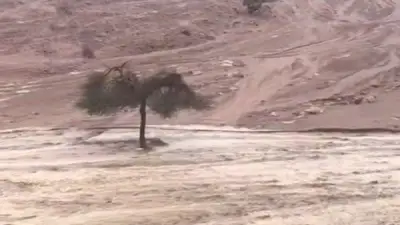 مصرع 4 أشخاص وإجلاء المئات بسبب أمطار غزيرة وفيضانات في البرازيل
