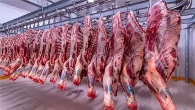 ارتفاع أسعار اللحوم بالمجمعات الاستهلاكية 40 جنيهاً قبيل عيد الأضحى