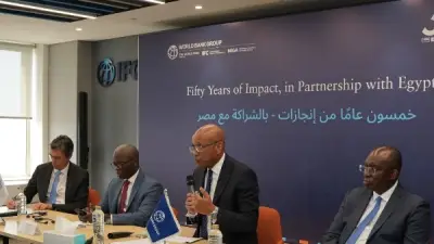 مؤسسة التمويل الدولية تضخ 40 مليون دولار لزراعة بنجر السكر في المنيا