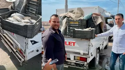 ضبط طن و425 كيلو أسماك فاسدة في بورصة الرياض بكفر الشيخ