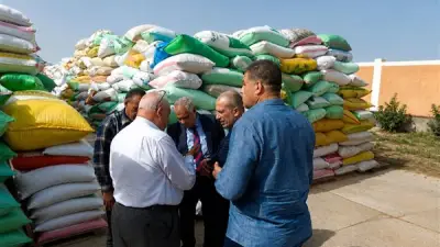 البنك الزراعي يسلم 464 ألف طن قمح بقيمة 7.2 مليار جنيه في شهر