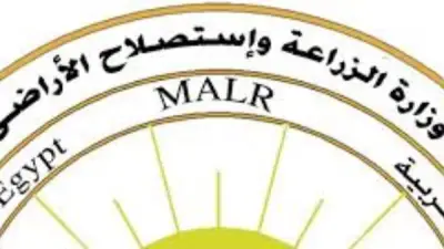 متحدث الزراعة: فتح 466 مجزرًا حكوميًا مجانًا للمواطنين في عيد الأضحى