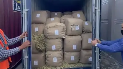 الحبس 5 سنوات وغرامة 250 ألف جنيه عقوبة تهريب البضائع بقصد الاتجار