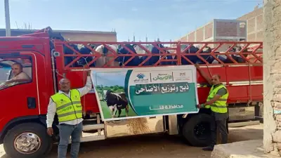توزيع 50 طن لحوم أضاحي على الأسر الأكثر احتياجاً في قنا خلال العيد