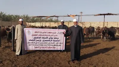 511 رأس ماشية ضمن الدفعة الأولى لأضاحي الأوقاف بأبو سمبل