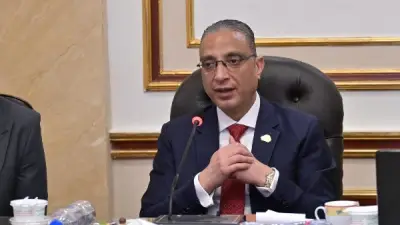 محافظ الجيزة يعتمد ترقية 5320 معلمًا وأخصائيًا إلى الوظائف الأعلى
