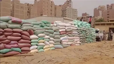توريد 53.7 ألف طن قمح لصوامع أسيوط منذ بدء الموسم