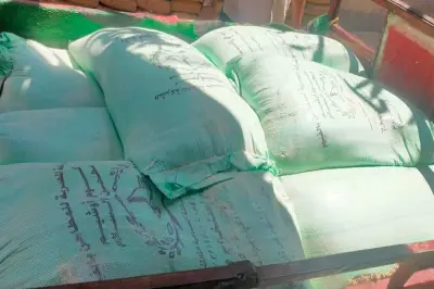 ضبط 6 أطنان دقيق مدعم في حملات تموينية بالمنيا