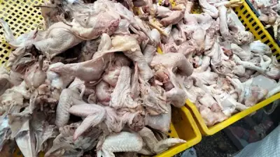 حملة تموينية بالفيوم تضبط 630 كجم صدور دجاج فاسدة وتحرر 108 مخالفات