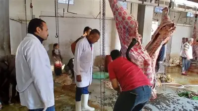 ذبح 655 أضحية بمجازر أسيوط في عيد الأضحى تحت إشراف بيطري