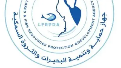 مزرعة برسيق السمكية تحقق 66 طنًا من الأسماك في أحدث أعمال الصيد