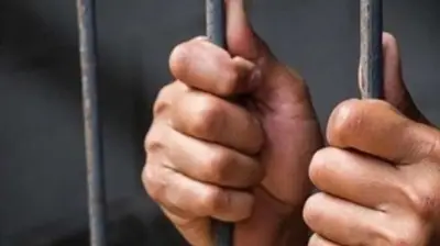 السجن 7 سنوات وغرامة مليون جنيه.. عقوبة تزوير الآثار بقصد الاحتيال