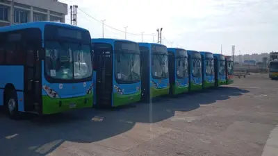 تحويل 754 أتوبيسًا للعمل بالغاز الطبيعي في القاهرة والإسكندرية