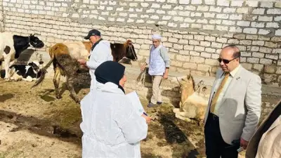 تحصين 85 ألف رأس ماشية ضد الحمى القلاعية والوادي المتصدع بالدقهلية