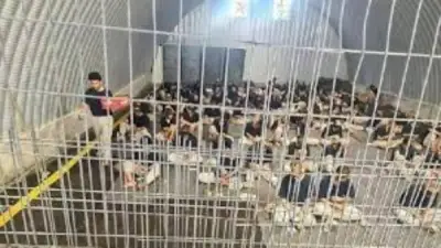 مؤسسات الأسرى: 9400 أسير في سجون الاحتلال بينهم 87 أسيرة و360 طفلاً