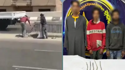 كشف تفاصيل فيديو تكسير سور الدائري وسرقة الحديد بالقليوبية