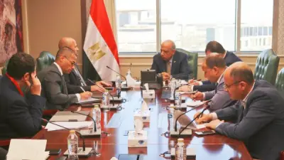 وزير الكهرباء يبحث توفير الطاقة لإقامة مركز عالمي للبيانات