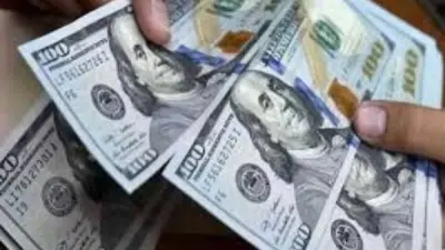 استقرار سعر الدولار أمام الجنيه في تعاملات مساء اليوم الجمعة