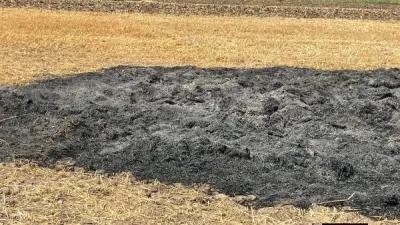 حريق يلتهم محصول قمح في قرية مجول ببنها والأمن يكثف تحرياته