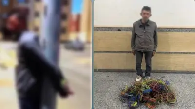 ضبط لص سرق أسلاك كهرباء من شقة تحت التشطيب بأكتوبر