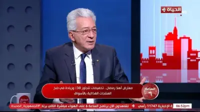 مستشار الغرف التجارية: مشروعات ضخمة لتعزيز مخزون السلع الاستراتيجية في مصر
