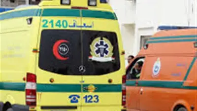 إصابة شابين في انقلاب دراجة نارية بالوادي الجديد