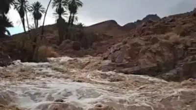 غرق شخصين في فلوريدا بسبب الأمطار الغزيرة والتيارات البحرية