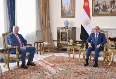 أبرز رسائل الرئيس السيسي خلال استقباله أمين عام منظمة التعاون الاقتصادي