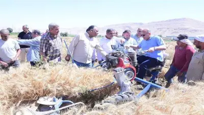 رئيس جامعة سوهاج يشارك المزارعين حصاد القمح ويتناول الإفطار وسط الحقول