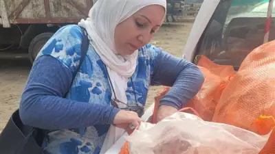 ضبط نصف طن بط مجمد فاسد في مطبخ وجبات بالغربية