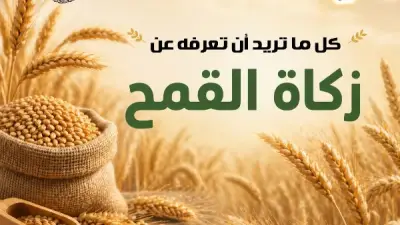 الأزهر للفتوى يوضح أحكام زكاة القمح في موسم الحصاد