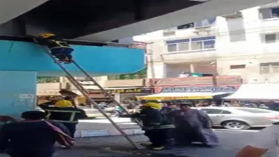 الحماية المدنية تنقذ قطة عالقة في كوبري نجع حمادي بعد بلاغ فتاة