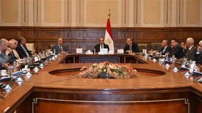 بدر عبد العاطي يستعرض رؤية مصر الخارجية أمام الشيوخ