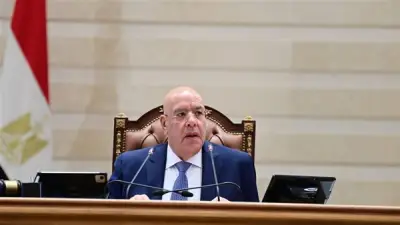 النواب يستعرض رد التأمينات حول تعطل منظومة المعاشات في الجلسة العامة