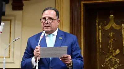 رئيس عربية النواب: القاهرة لن تتوانى عن مساندة أشقائها في هذه الظروف الدقيقة